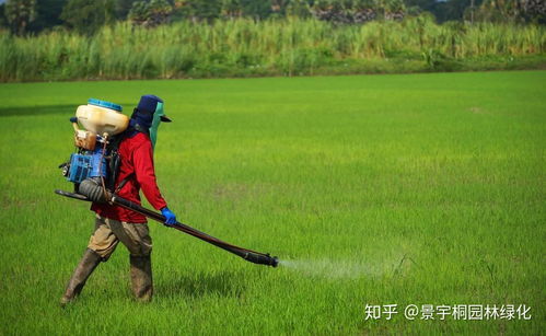 园林绿化工程的养护方法与管理技术