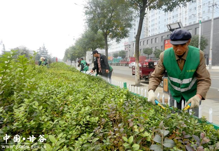 [城区环境整治]甘谷县加强城市园林绿化养护管理